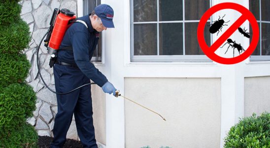 Sığacık Gümüşkurt İlaçlama böcek ilaçlama ve haşere kontrolü — ilaclama-tr.com